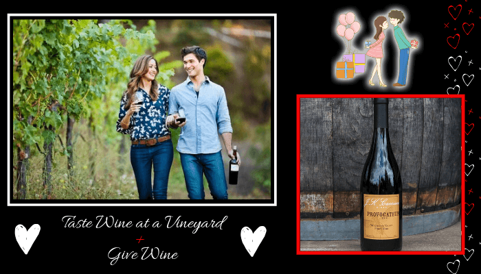 Taste Wine at a Vineyard + Give Wine Gift