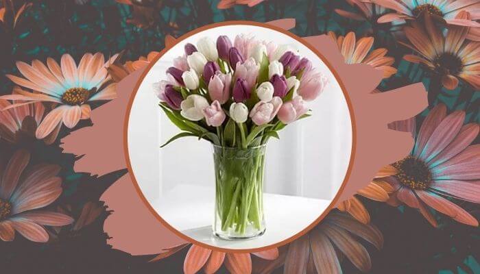 Tulips
