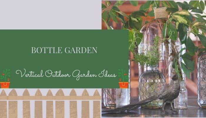 Bottle Garden