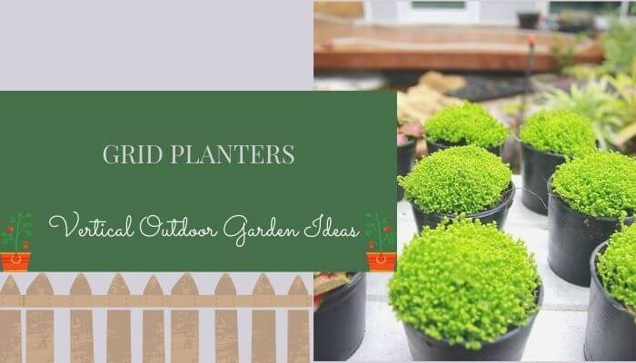 Grid Planters