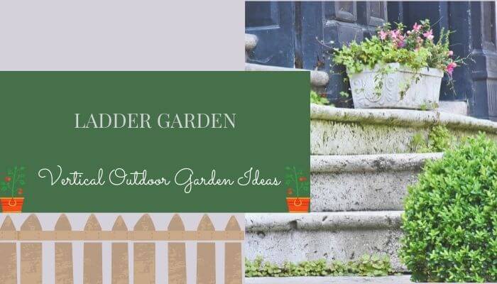 Ladder Garden
