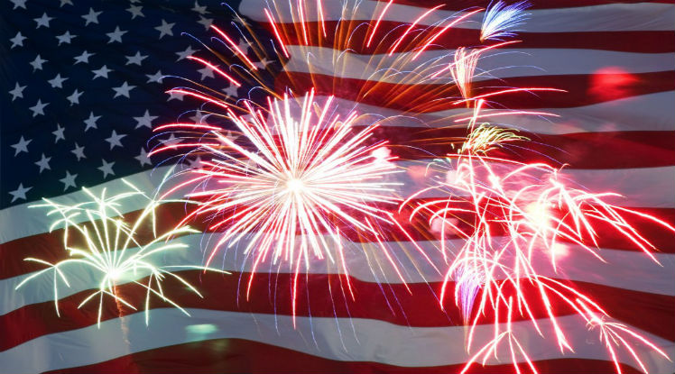 VIP Firework Party
