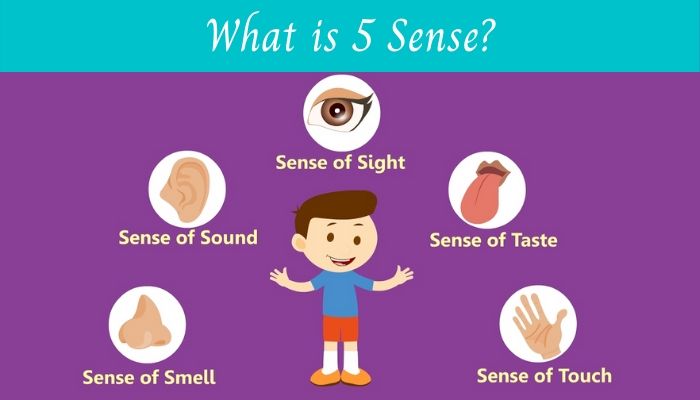 What is 5 Sense?