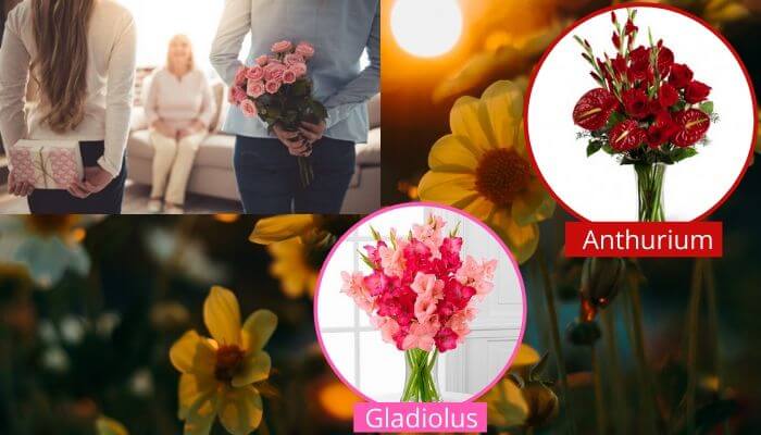 Which Flowers are Best to give to Grandmothers?
