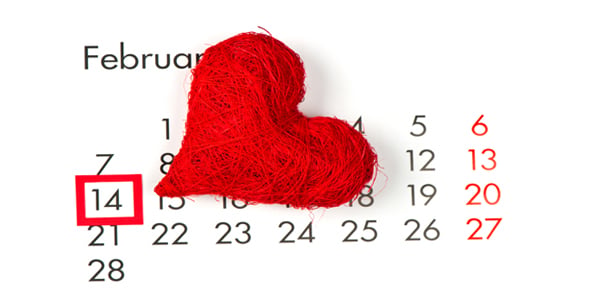 reasons of celebration valentines day on 14 February 