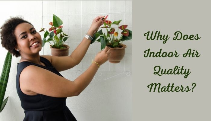 Why does indoor air quality matter?