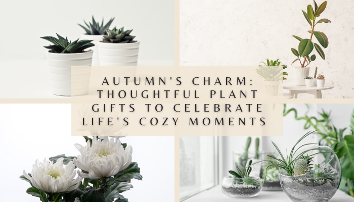 Plants