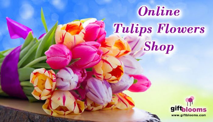 different-spring-flowers-gifts