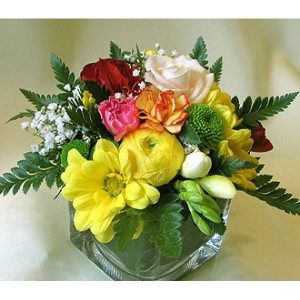 Congratulations Flower