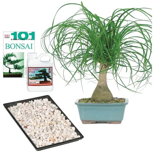 5) Complete Gift Set For Garden Lovers