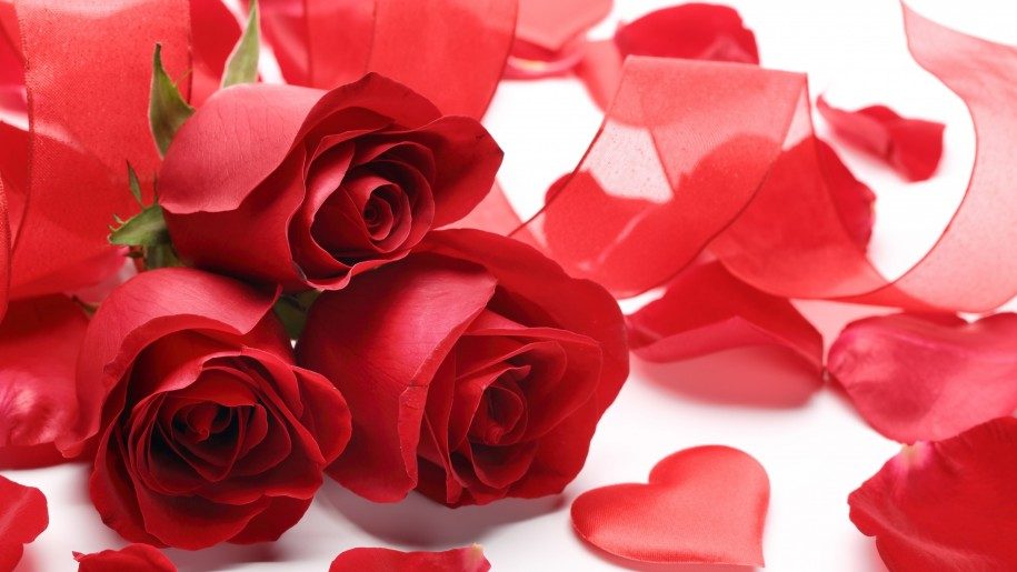 Valentine's Day