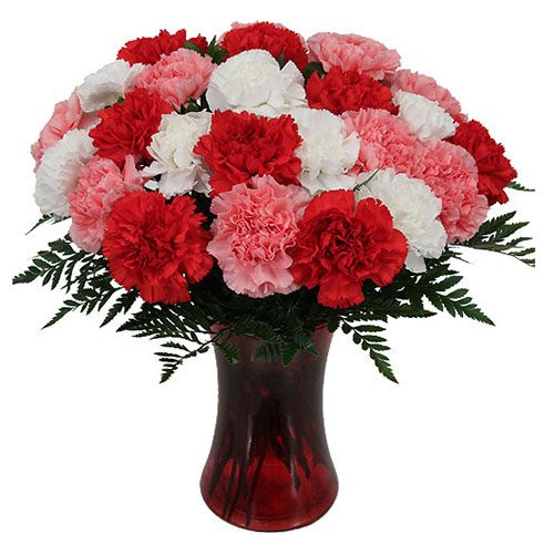 Bouquet-of-27-mixed-color-carnations