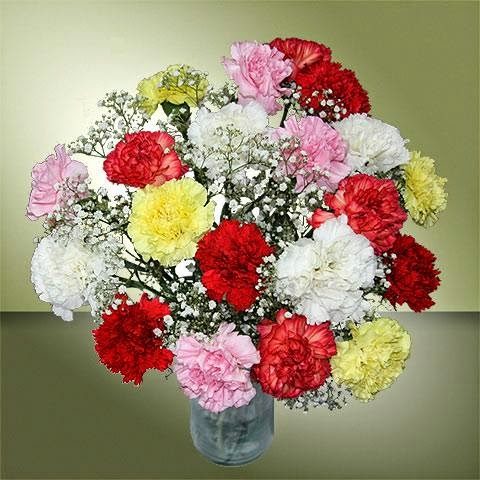 RAINBOW-carnations-bunch
