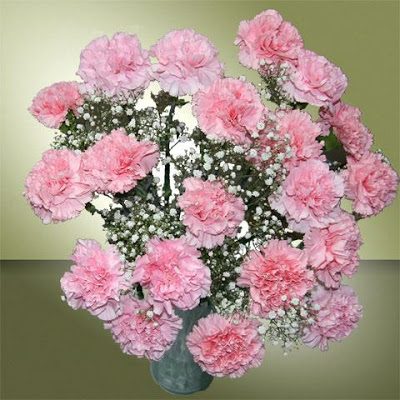 TRUE-LOVE-carnations-bunch