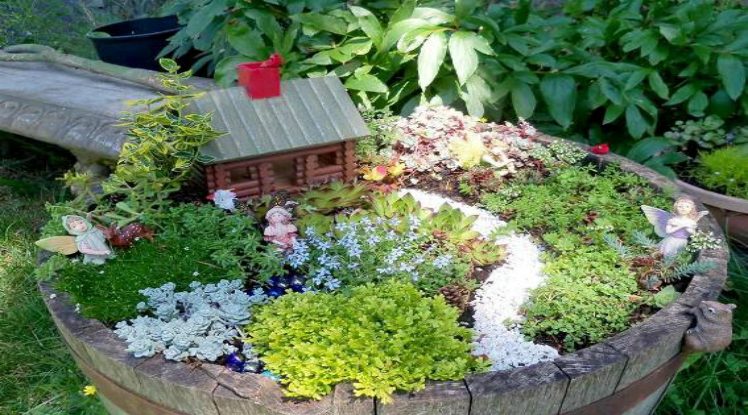 Fairy Gardens