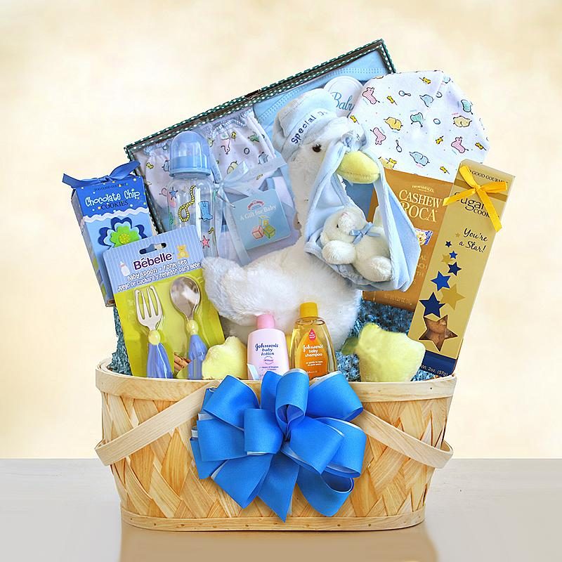 Special Stork Delivery Baby Boy Basket
