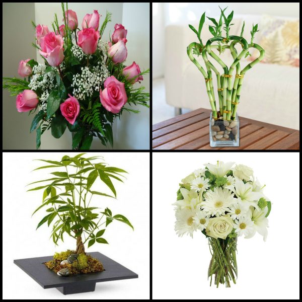 Fathers Day Gift Ideas for Nature Lover Dad