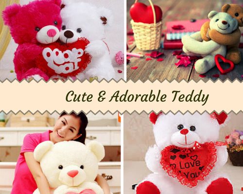 Cute & Adorable Teddy