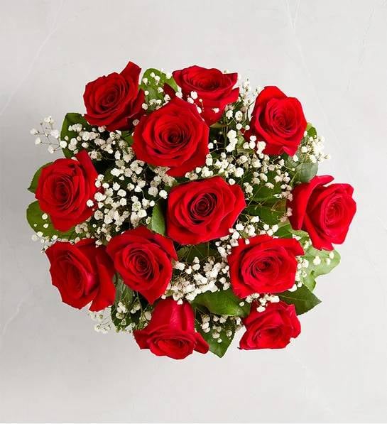 Rose Elegance™ Premium Long Stem Red Roses (18 Stems)