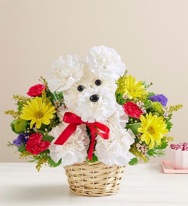 a-DOG-ableÂ® in a Basket
