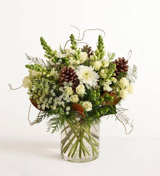 Aspen Joy (Small)