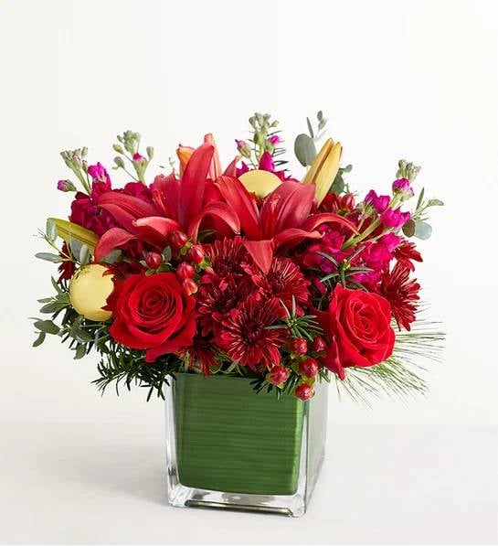 Crimson Carol (Small)