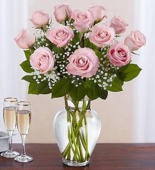 Rose Elegance Premium Long 18 Stems Pink Roses