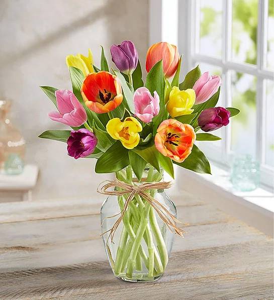 Timeless Tulips® (15 Stems)