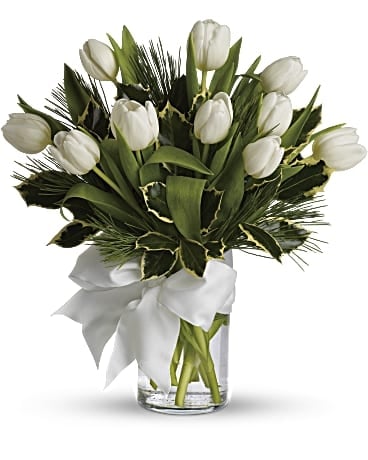 Tulips And Pine (Standard)