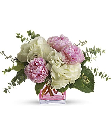 Pretty in Peony (Standard)