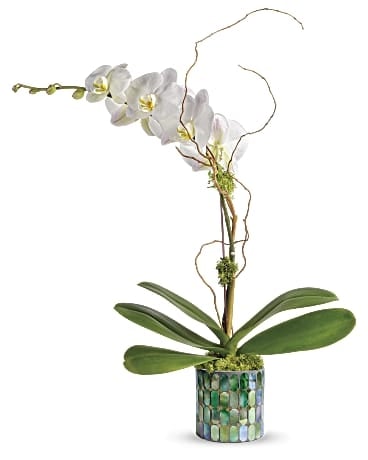 Stained Glass Orchid
