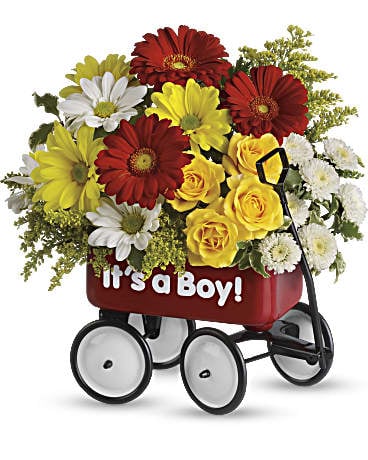 Baby's Wow Wagon by  - Boy (Standard)