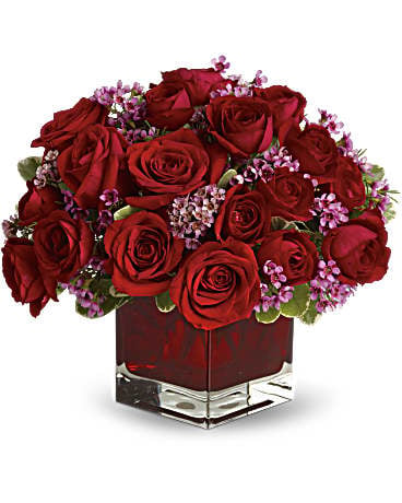 Never Let Go by  - 18 Red Roses (Standard)