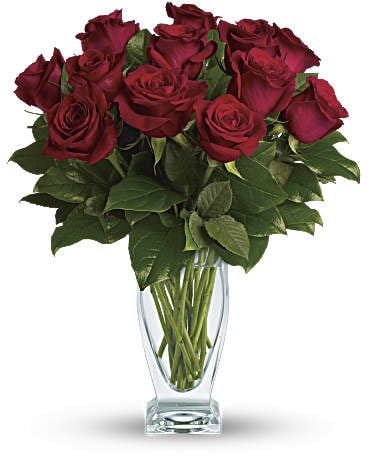 Rose Classique - Dozen Red Roses (Standard)