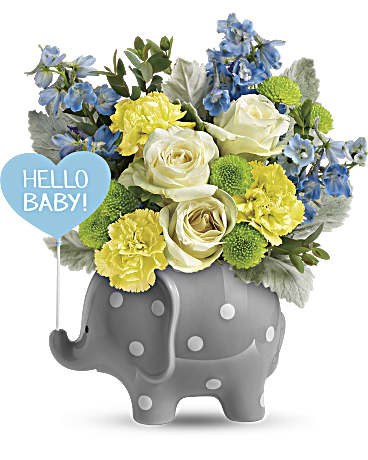 Hello Sweet Baby - Blue (Standard)