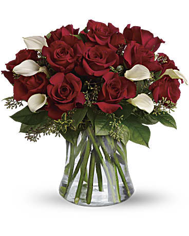 Be Still My Heart - Dozen Red Roses (Standard)