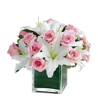 Fresh Fragrance Vase (As Shown)