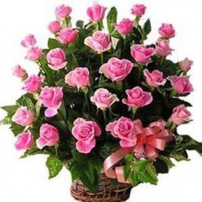 Pink Roses Love (As Shown)