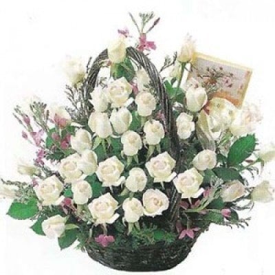 Purity Of White (As Shown)
