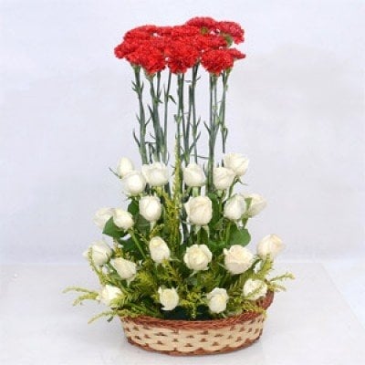 White Red Combination (As Shown)