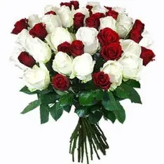 Bunch Of 40 Red White Roses (As Shown)