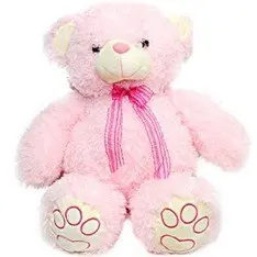 Pink Teddy 24 Inch (As Shown)