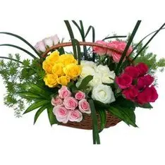 Basket Of 60 Multi Color Roses (As Shown)