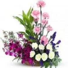Orchid Carnation Rose Delight