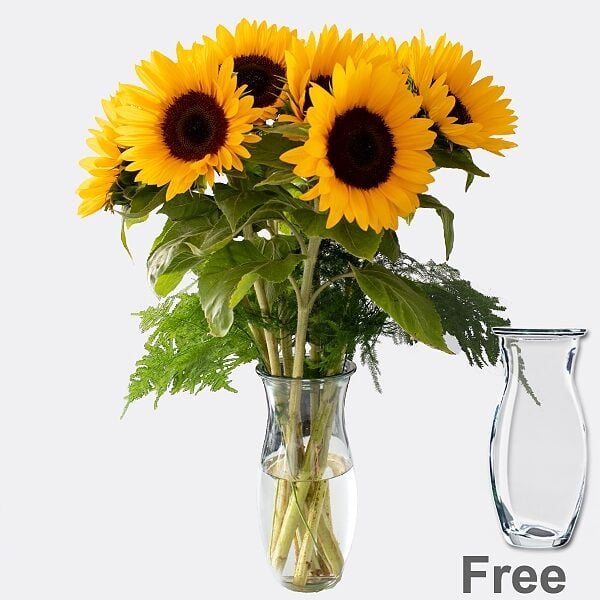 Bunch of 7 Sunflowers with vase & Teaballs & 3 Ferrero Giotto