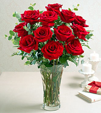 Red Rose