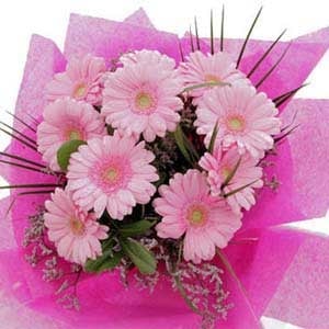 10 pink gerberas (As shown)