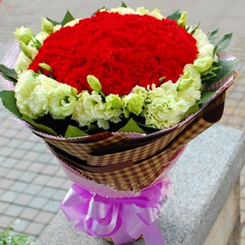 Mothers' hug (99 pink carmations)