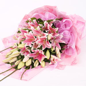 Happy Festival