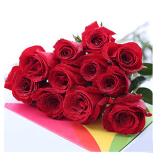 Simple love(red roses)